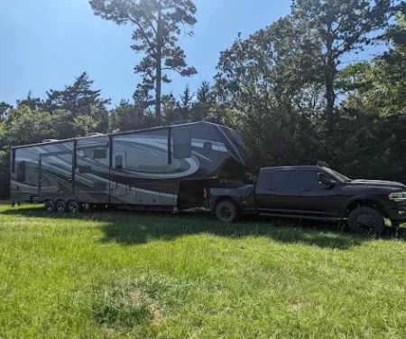 Piney Paradise