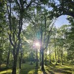 WMA Tent Campground