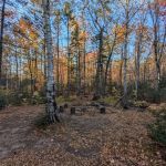 Cut Log Camp