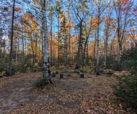 Cut Log Camp