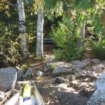 BWCA Campsite #955