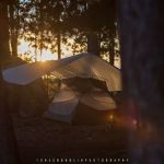 BWCA Campsite #1803