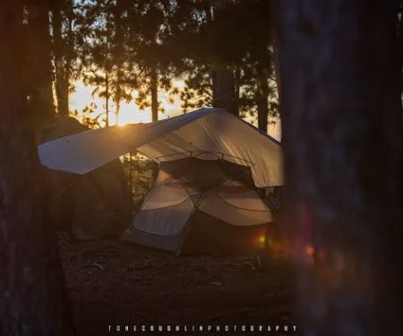 BWCA Campsite #1803