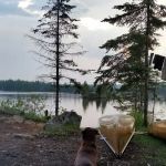 BWCA Campsite #910
