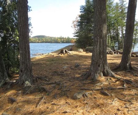 BWCA Campsite #941