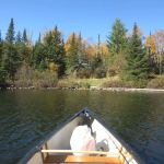 BWCA Campsite #949