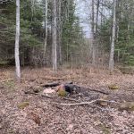 BWCA Campsite #2309