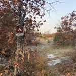 Site Blueberry Ridge H2