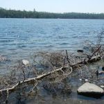 BWCA Campsite #892