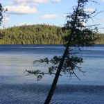 Campsite 971