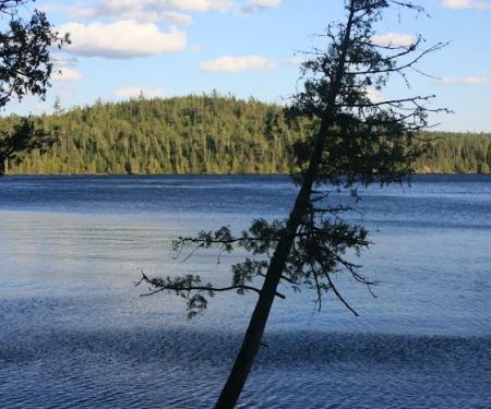 Campsite 971