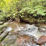 Kimball Creek Camp