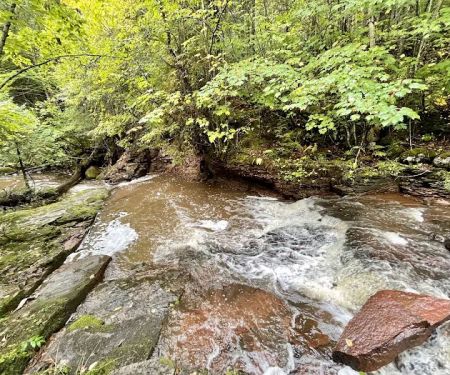 Kimball Creek Camp