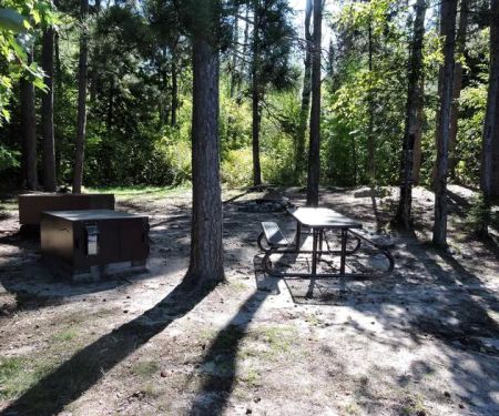 Birch Cove Island N1 Campsite