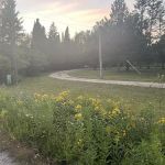 Ash River Campground