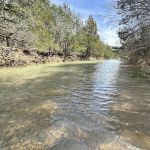 Buffalo Tree Ranch