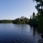 Bear Back Island