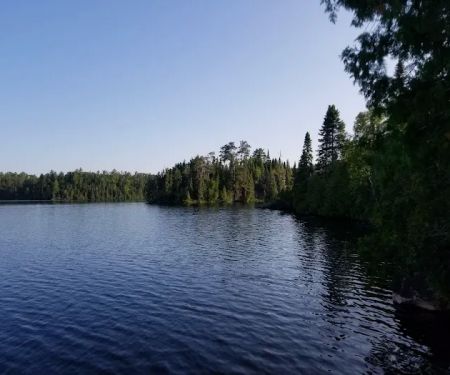 Bear Back Island