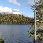 BWCA Campsite #664