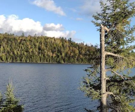 BWCA Campsite #664