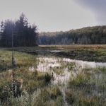 Hazel Camp
