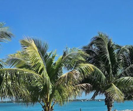 Trumbo Point Tropical Landing