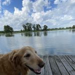 Lake Felix Rv Park