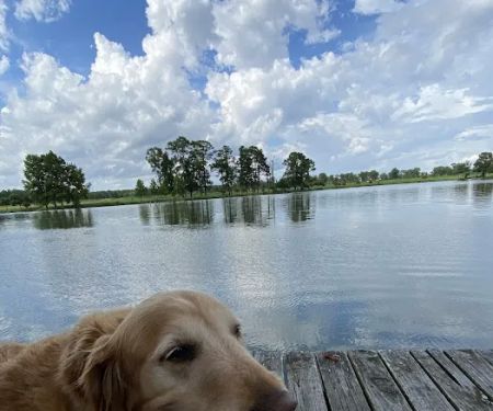 Lake Felix Rv Park