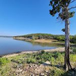 Comfort Cove Campground