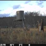 Scaria Ranch