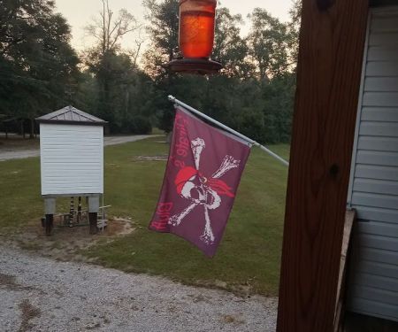 Pirate's Bluff