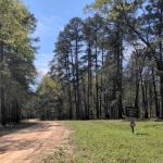 Bankston camp
