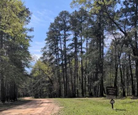 Bankston camp