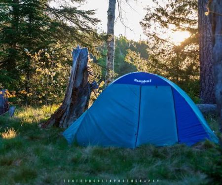 BWCA campsite 754