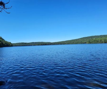 BWCA Campsite #751