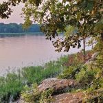 Hickory Point