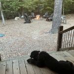 Lazy Horse Lodge