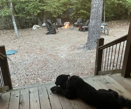 Lazy Horse Lodge