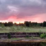 Grand Bayou Outfitters