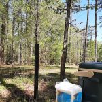 US Forestry Department
