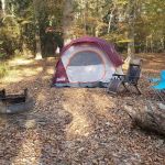 Flynn's Camping Grounds