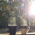 Custom Cabin Rental