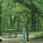Buggy Whip Equestrian Campground