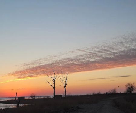 Dam Site Campground