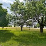 East Fork Park