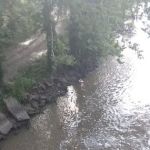 Damsite Campground