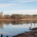 Reel Em in Cabins