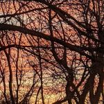 Riverside Park Campground
