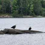 BWCA Campsite #374