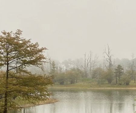 Campsite #35